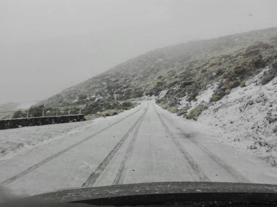 Izaña cubierto de blanco por un manto de nieve