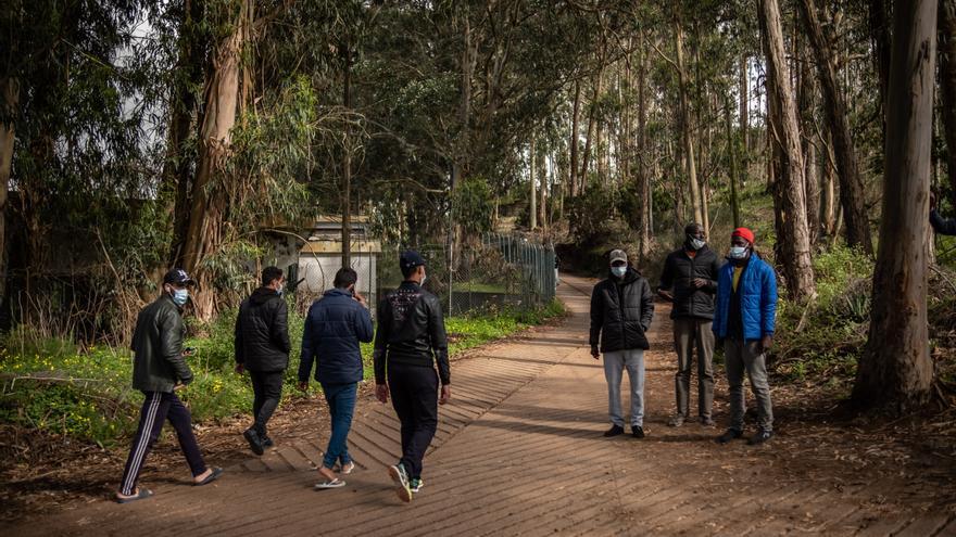 Torres califica de &quot;buena noticia&quot; que la OTAN refuerce la seguridad en África