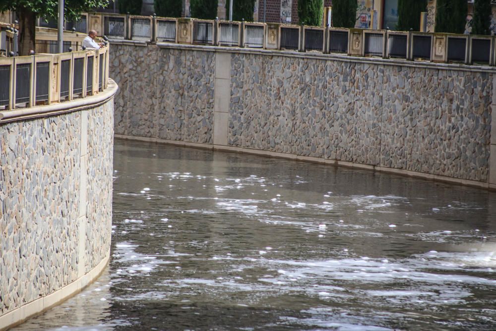 La CHS investiga la aparición de espuma en superficie a lo largo del cauce del Segura en toda la comarca, tras las lluvias que se han registrado en los últimos días.