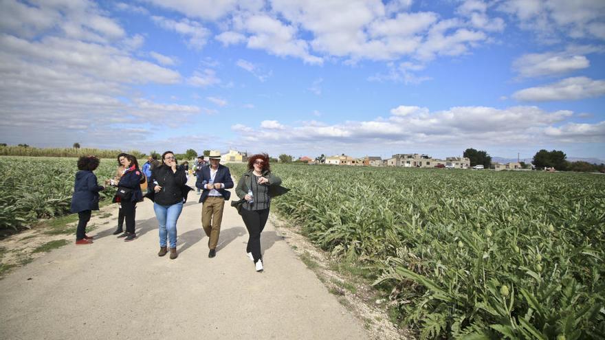 Visita a un campo de cultivos en la Vega Baja