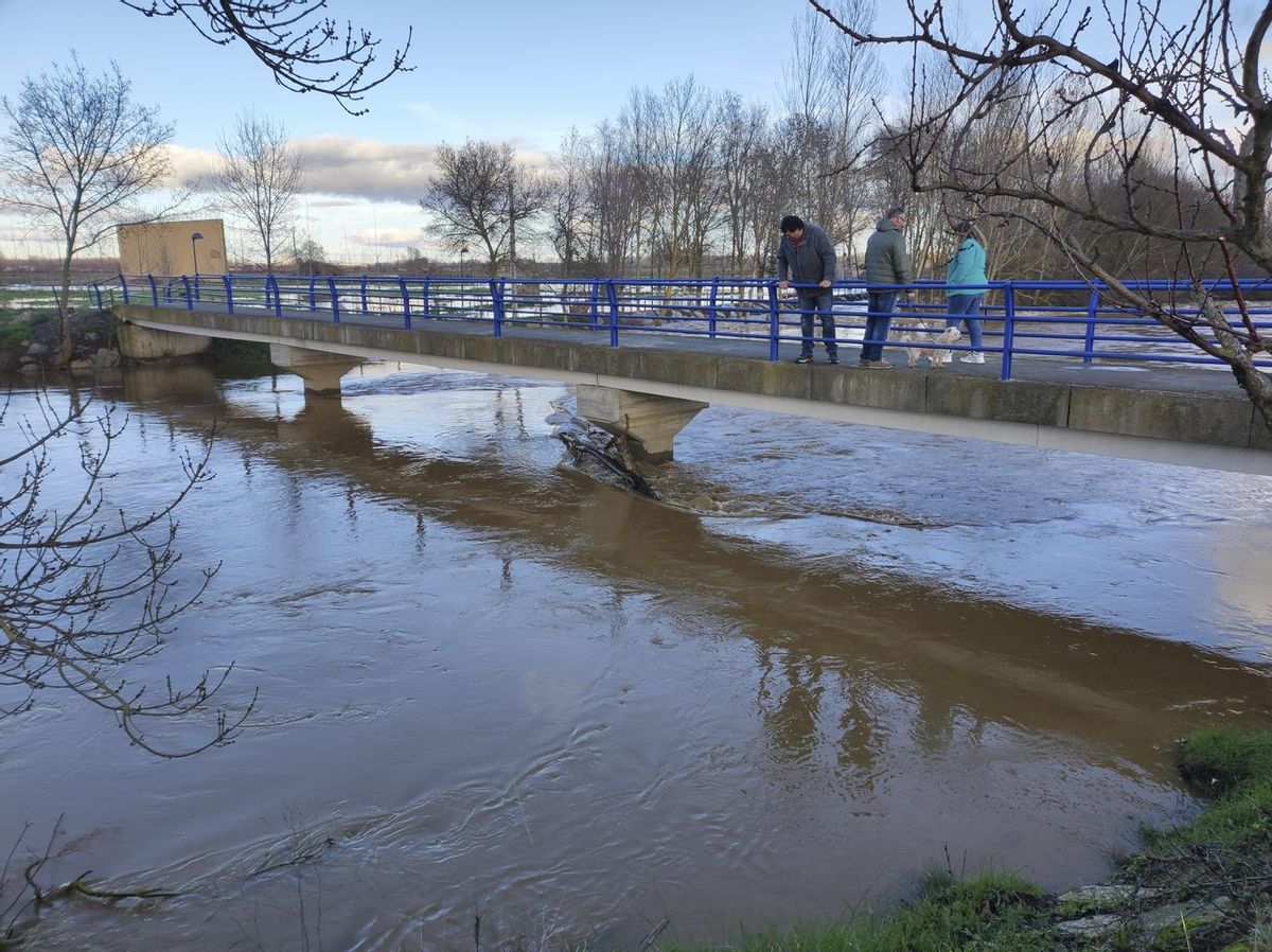 Así bajaba el Eria a su paso por Morales esta tarde.