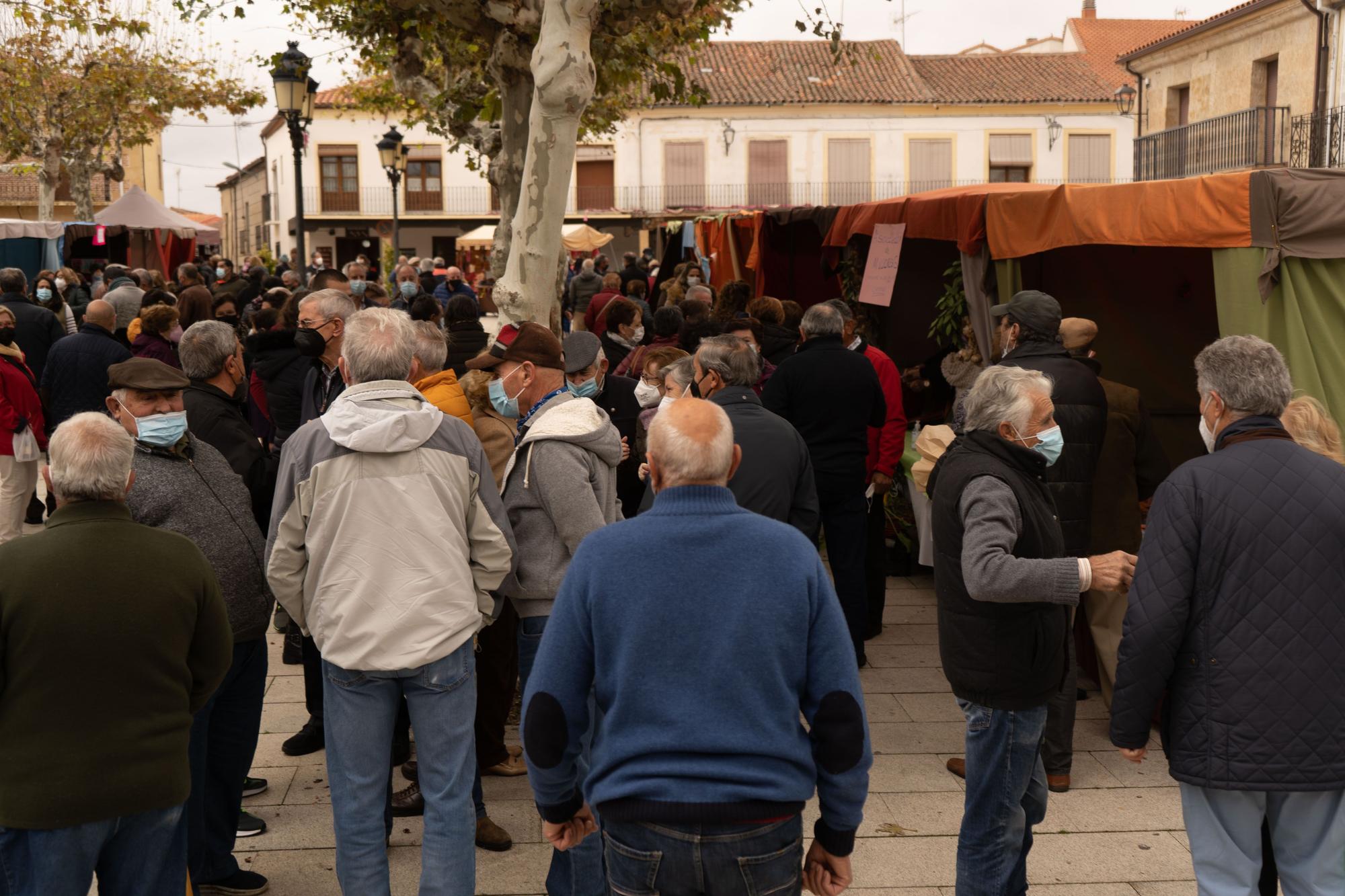 GALERÍA | Feria de los Santos de Fuentesaúco