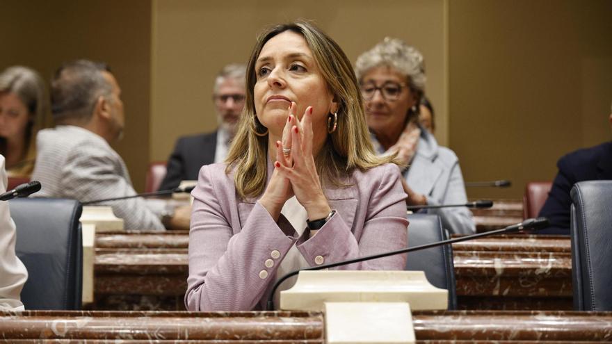 La consejera de Política Social, Conchita Ruiz, este miércoles en la Asamblea.