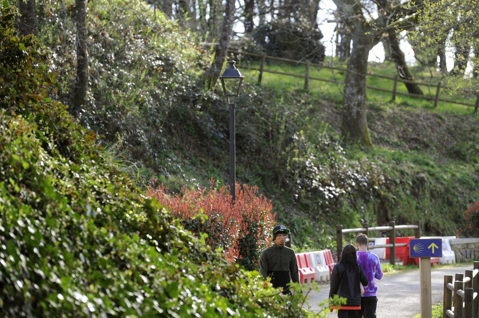 El Paseo do Pontiñas de Lalín con colorido en sus árboles y plantas.