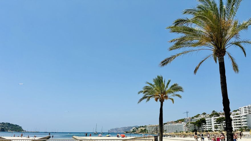 So blau zeigt sich der Himmel in den kommenden Tagen auf Mallorca.