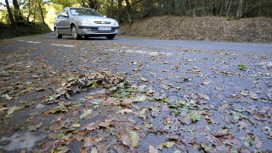 Las hojas caídas hacen peligroso el tránsito por la carretera de A Rocha. // Bernabé/Javier Lalín