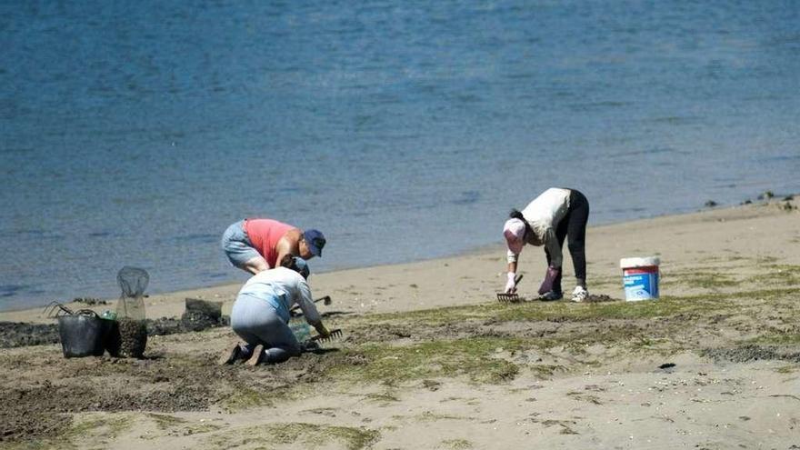 Mariscadoras faenan en la ría de O Burgo.