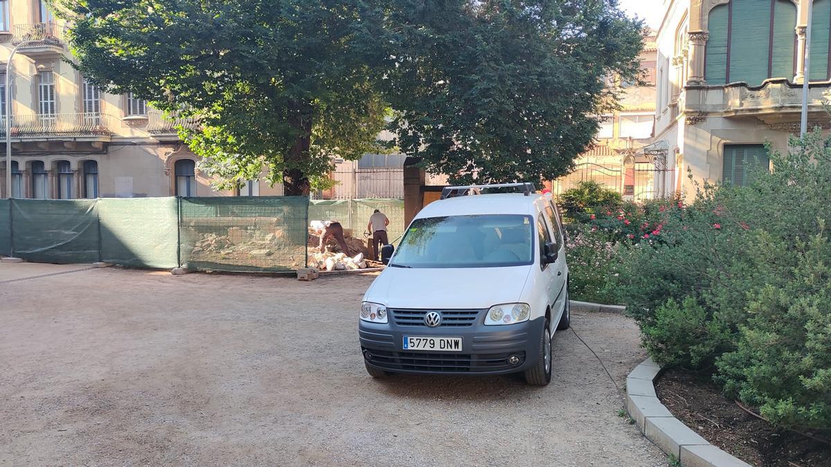 L'arbre sent deslliurat de la cotilla de pedra que implicava el mur