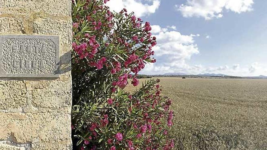 La finca ´manacorina´ de Santa Cirga.