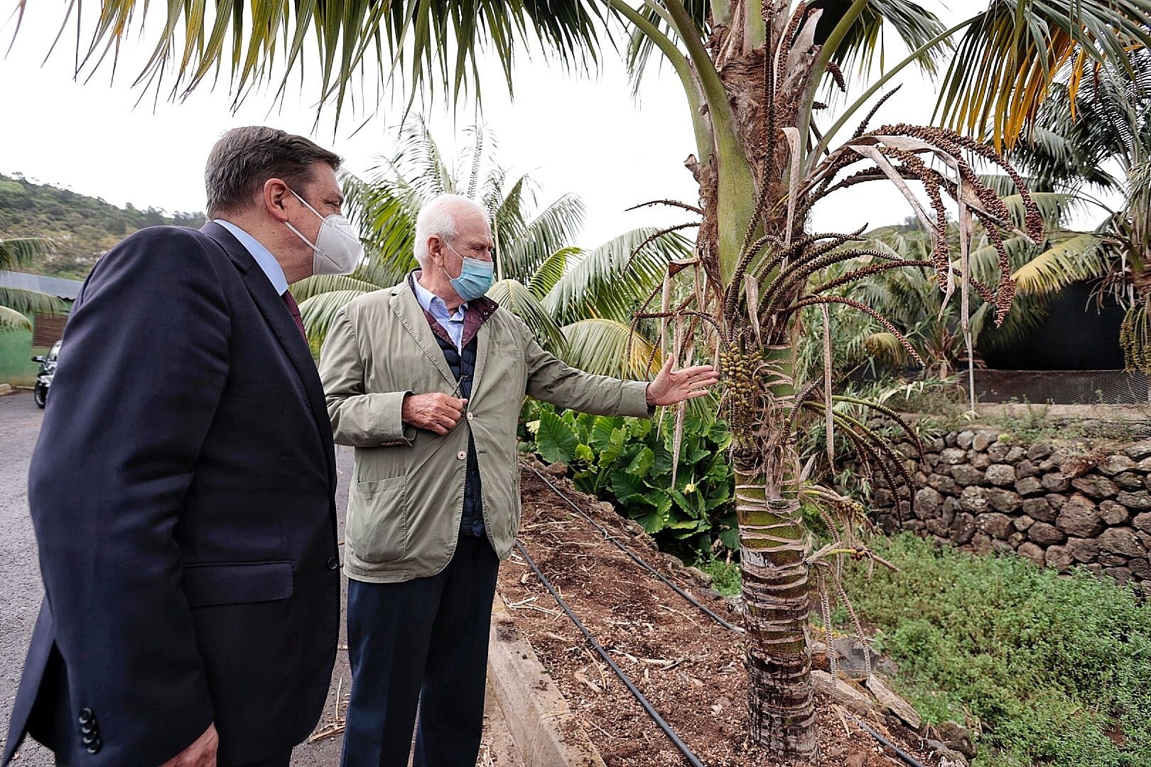 Visita a Tenerife de Luis Planas