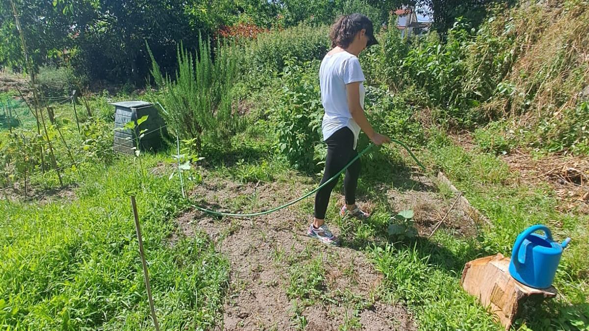 Huerto urbano de la AECC en Santiago de Compostela