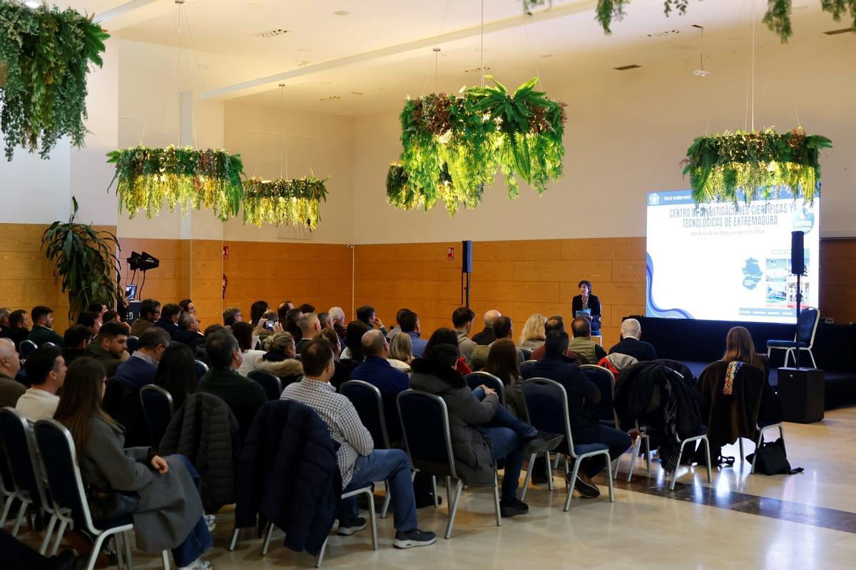 Presentación del programa Cultivadores Digitales.