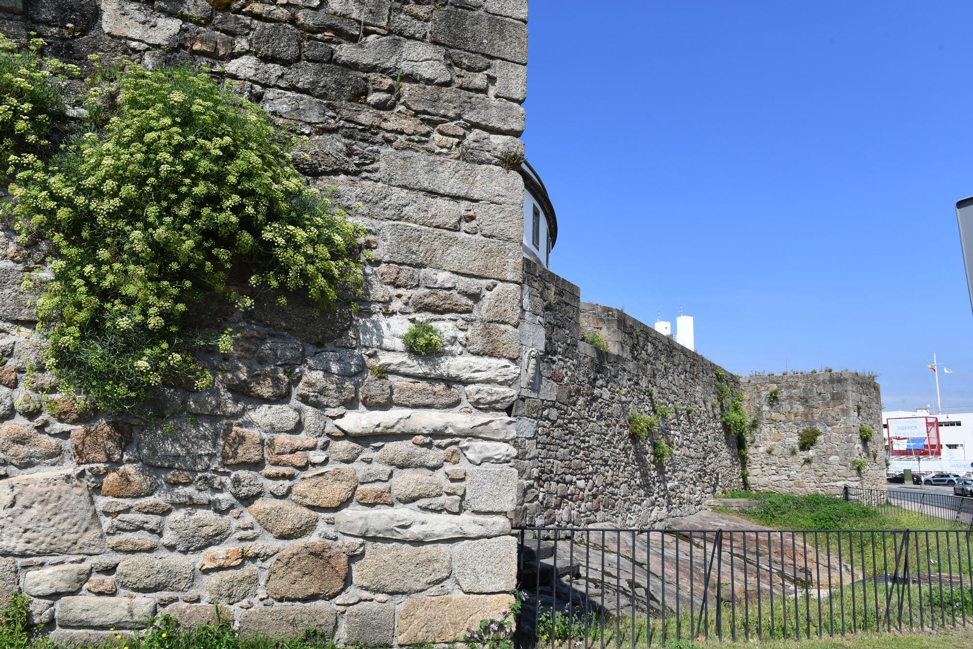 Nuevo plan de conservación y mantenimiento de los yacimientos arqueológicos