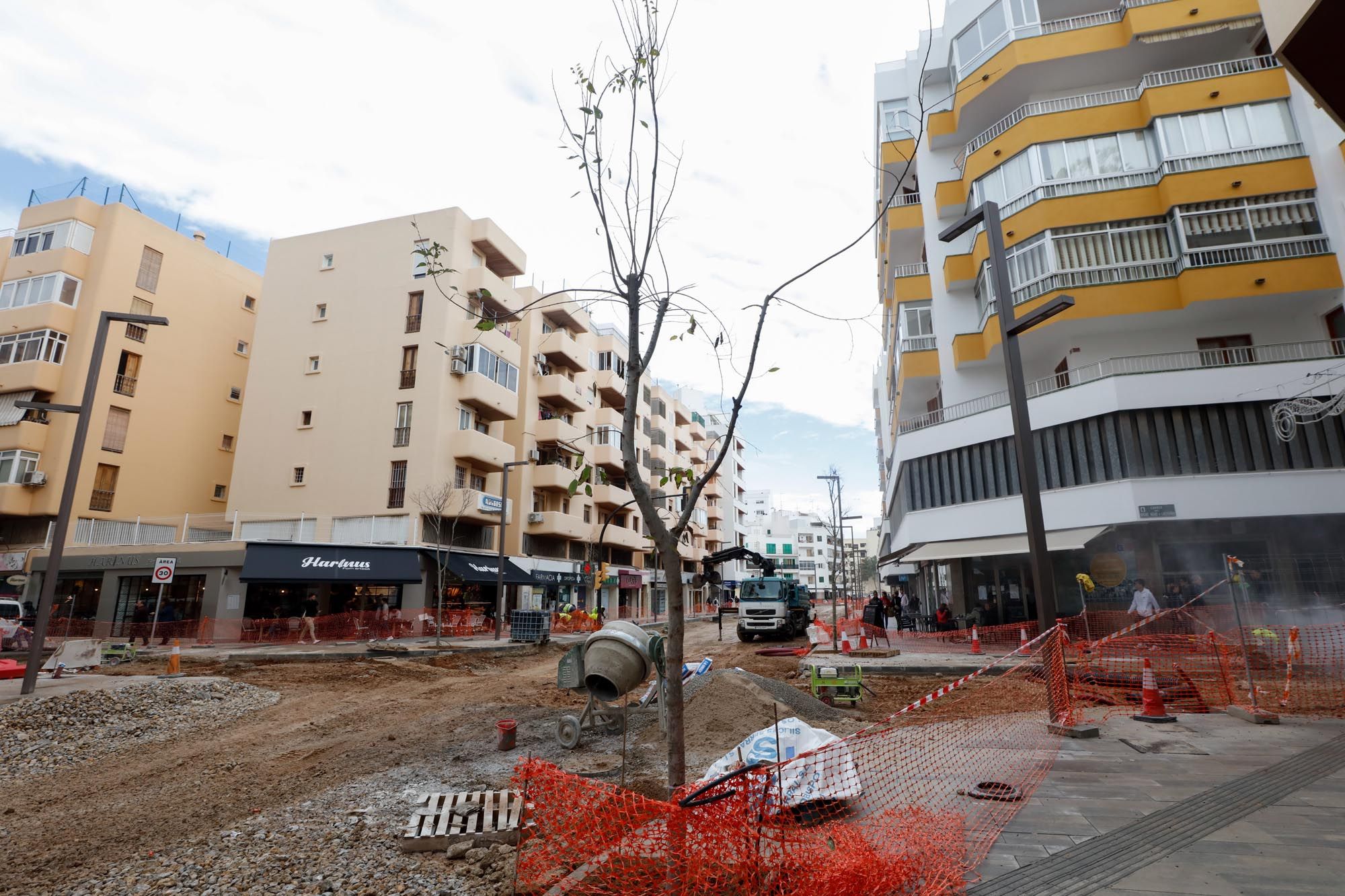 Nuevos árboles para la avenida Isidor Macabich de Ibiza