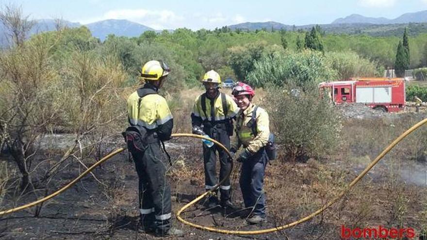 Els bombers al terreny afectat.