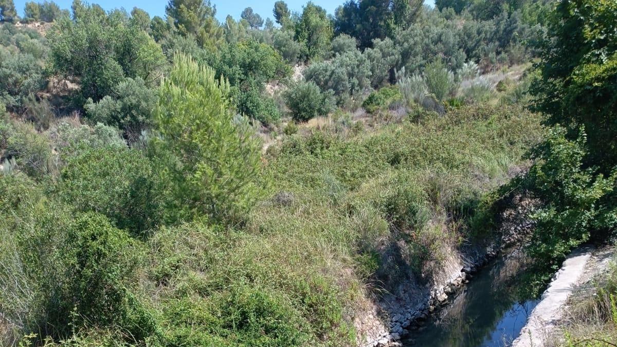 Agua este viernes en el tramo del nacimiento del río.