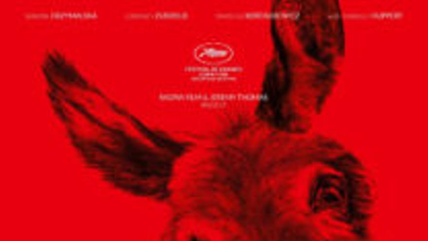 Cine Club - EO