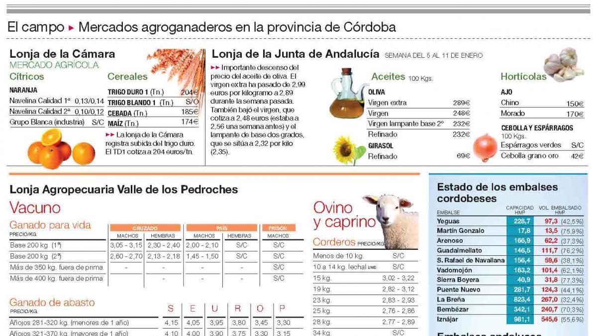 El frío no afectá aún a la calidad de las naranjas