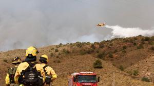 Forest firefighters look on as a firefighting plane dumps water during a wildfire in Los Gallardos, Almeria, Spain, July 10, 2026. REUTERS/Chema Artero     TPX IMAGES OF THE DAY