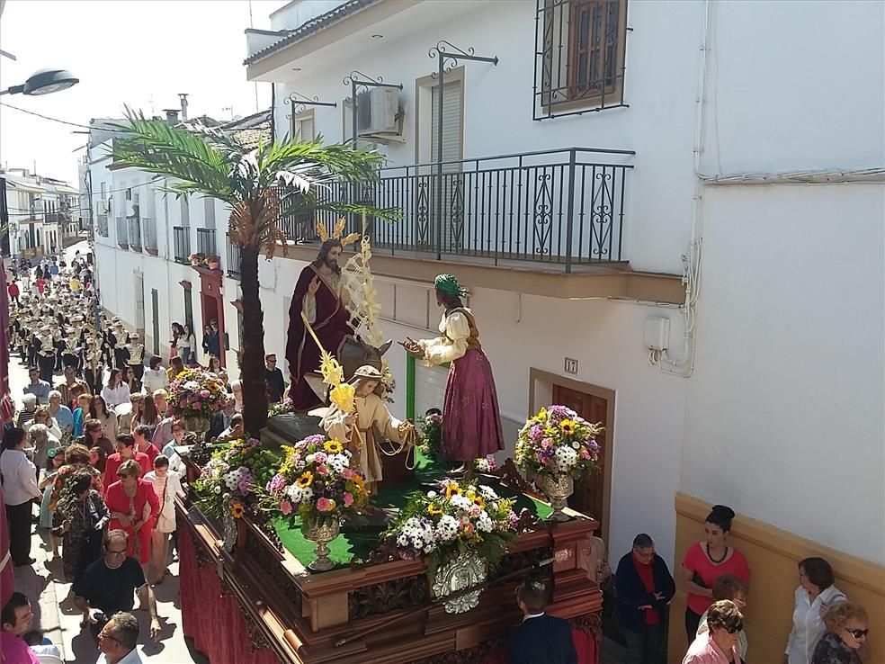 FOTOGALERÍA / El Domingo de Ramos en la provincia