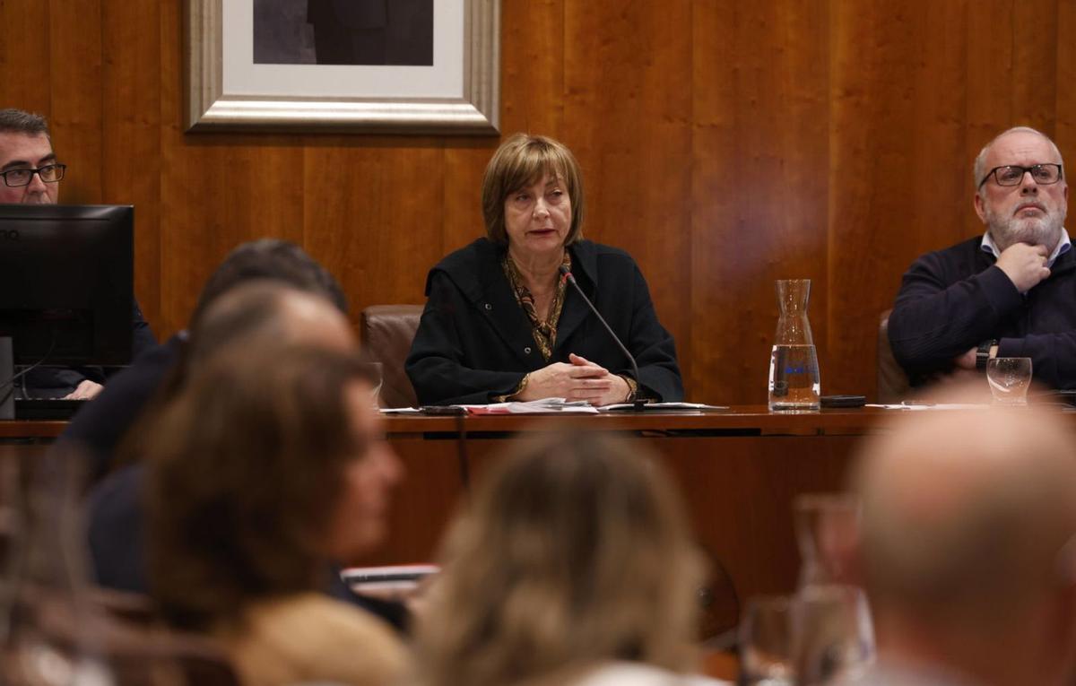 Mariví Monteserín, en el momento de plantear el pleno extraordinario para el martes. | LUISMA MURIAS
