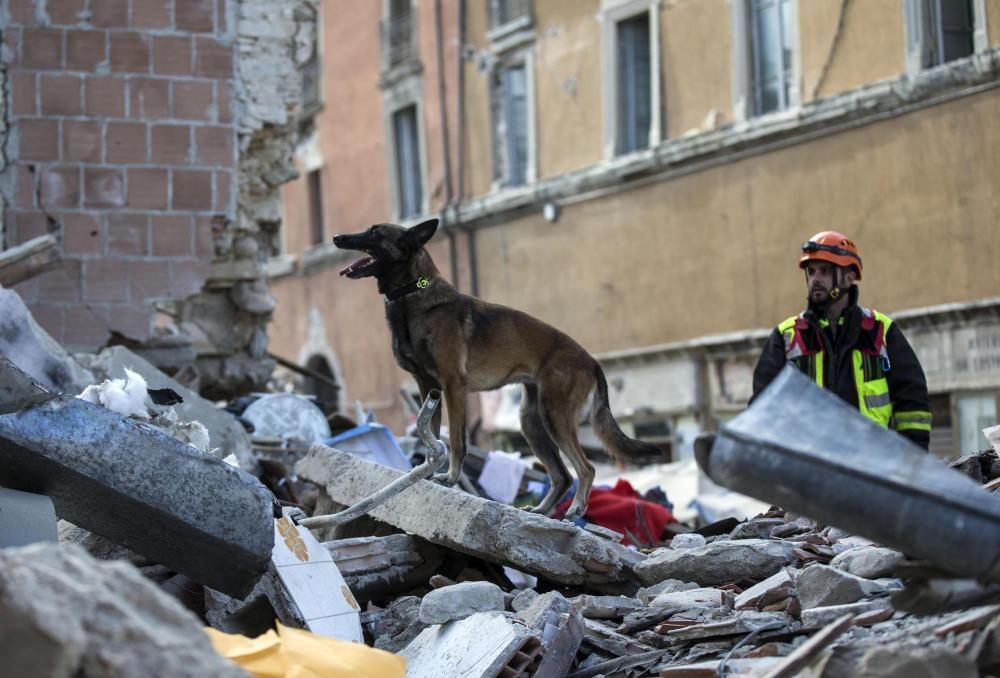 Terremoto en el centro de Italia