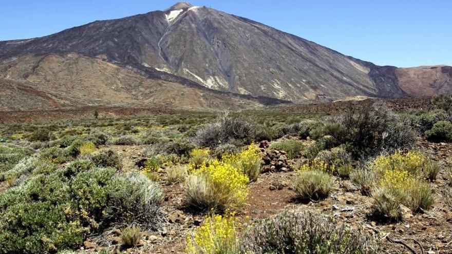 El Teide visto desde Las Cañadas