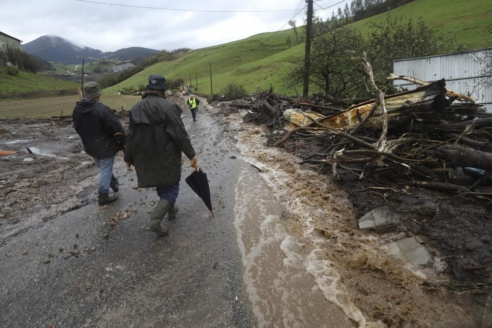 Temporal en Asturias: Un argayo sepulta una ganadería en Salas