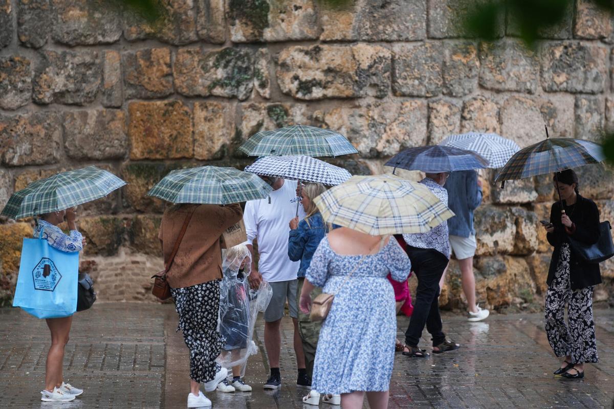 19/06/2024 Transeúntes protegidos con paraguas durante las fuertes lluvias. A 19 de junio de 2024, en Sevilla (Andalucía, España). Durante la jornada de hoy miércoles algunas zonas de la provincia de Sevilla vivirá fuertes lluvias. SOCIEDAD María José López - Europa Press