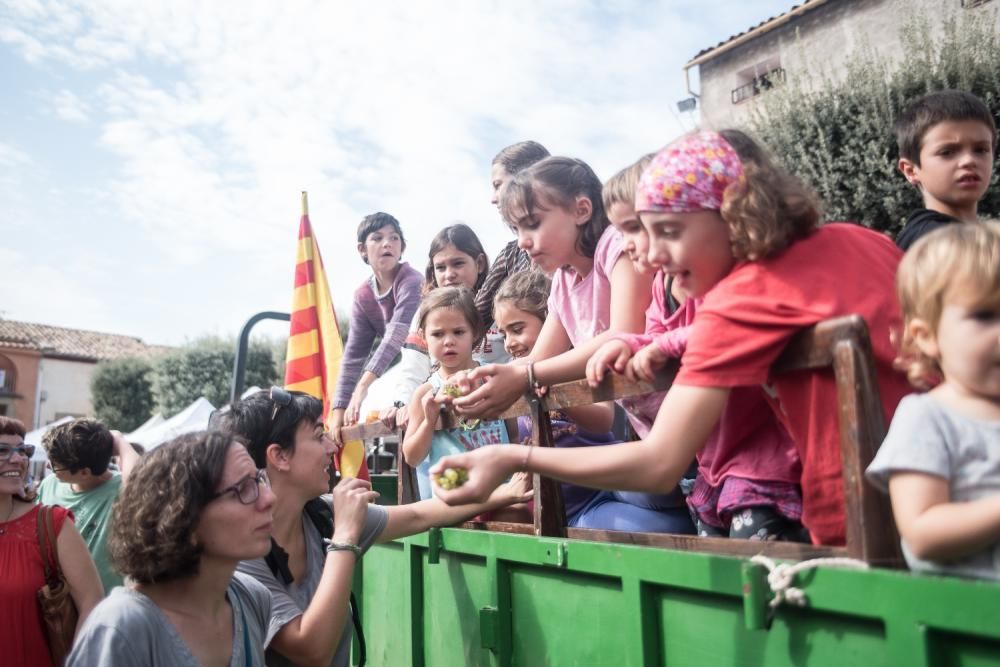 La Festa de la Verema del Bages