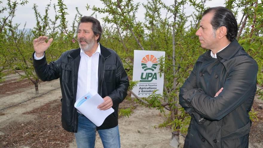 Antonio Moreno, de UPA, y Antonio Moya, responsable de Agricultura, ayer en Cieza.