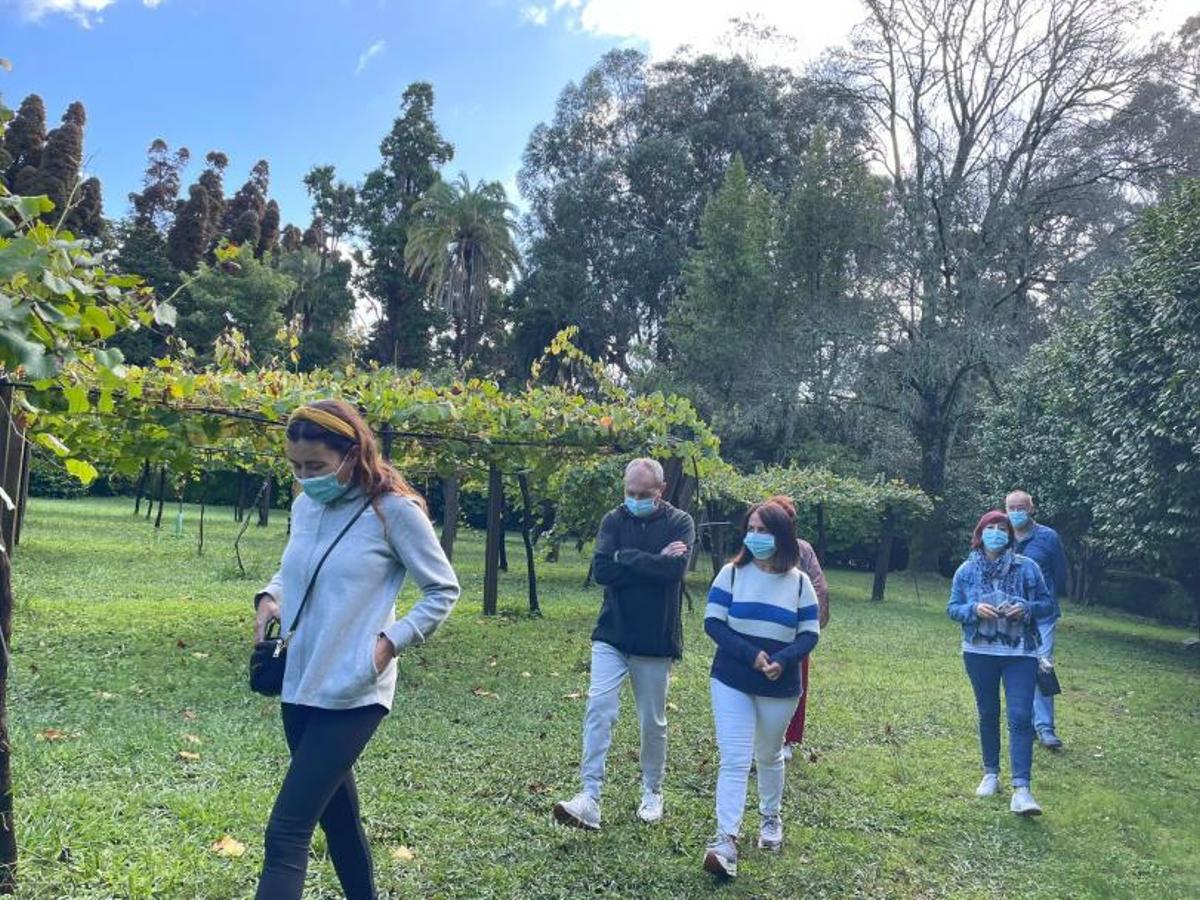 Una de las visitas a los viñedos y jardines de Pazo Rubiáns, en Vilagarcía, ayer. | // FDV