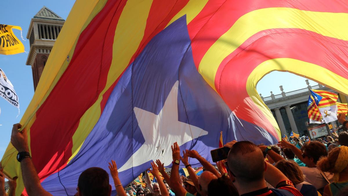 Una estelada gegant enmig d&#039;una manifestació