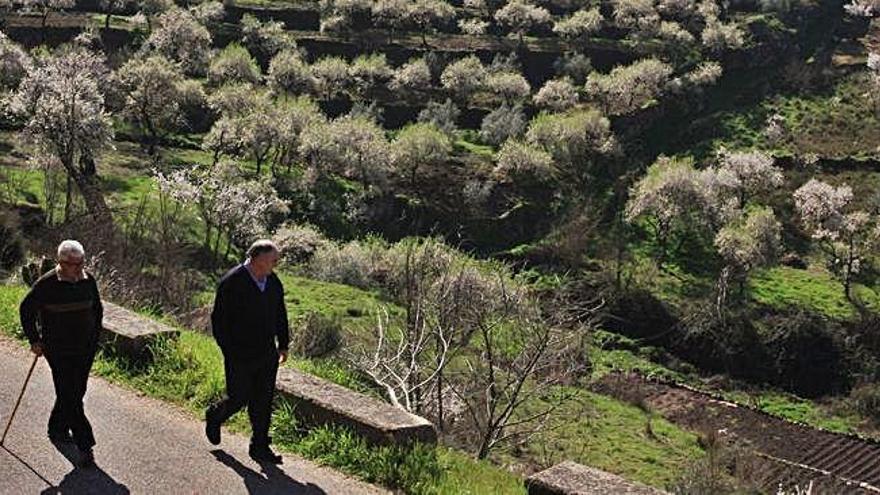 Dos personas pasean por la Ronda de Fermoselle.