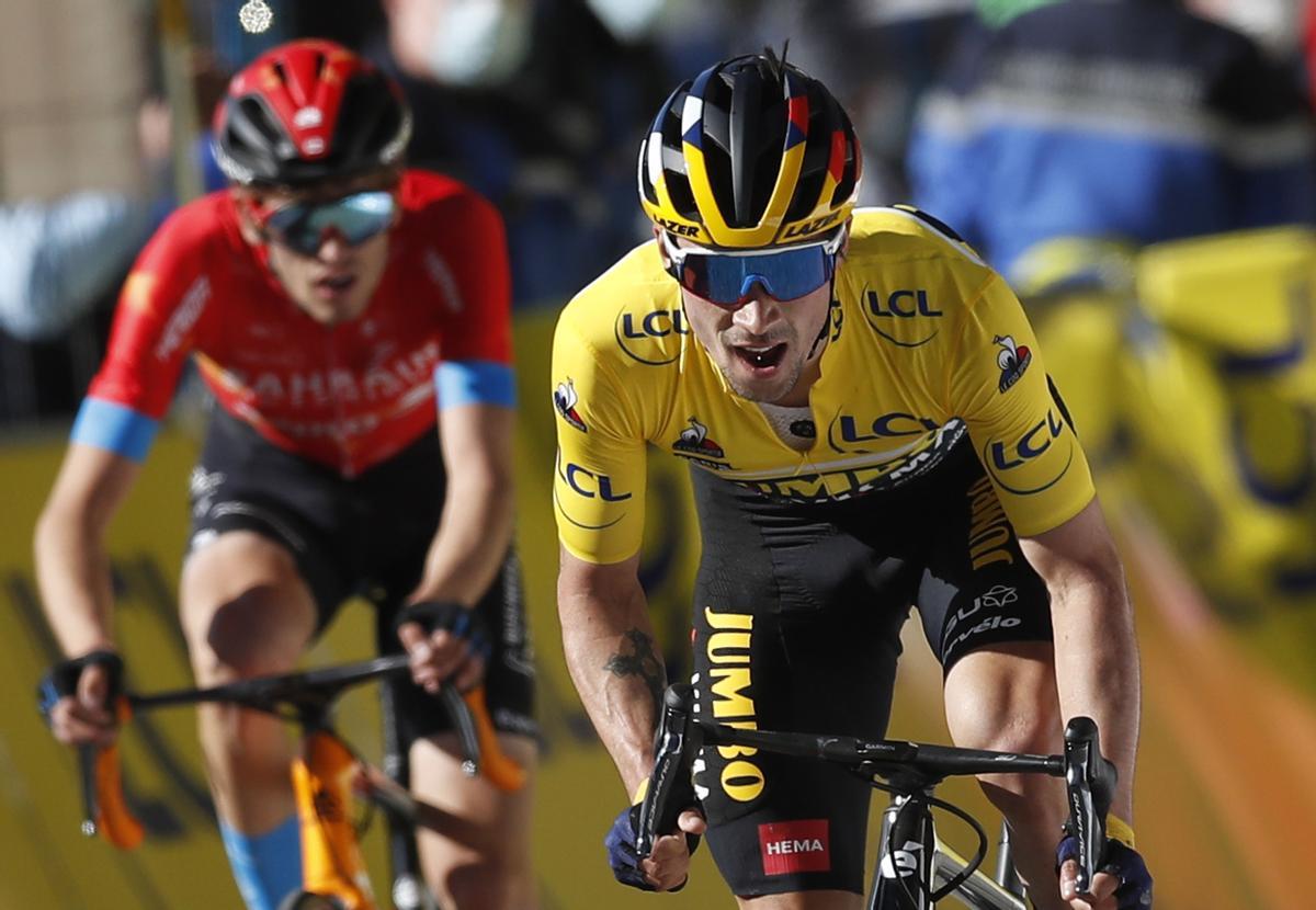 Roglic, tan fort com despietat Roglic, tan fort com despietat