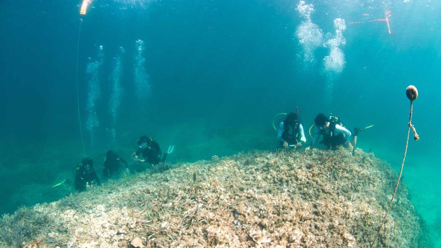 Replantación de posidonia en Alcanada | La experta Gigi Torras: &quot;El reto es poder replicar este proyecto en otra zona&quot;