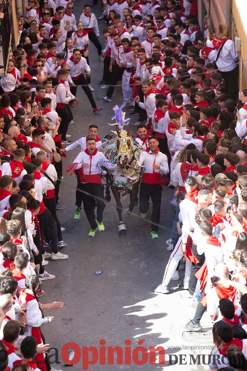 Caballos del Vino en la cuesta de la Simona