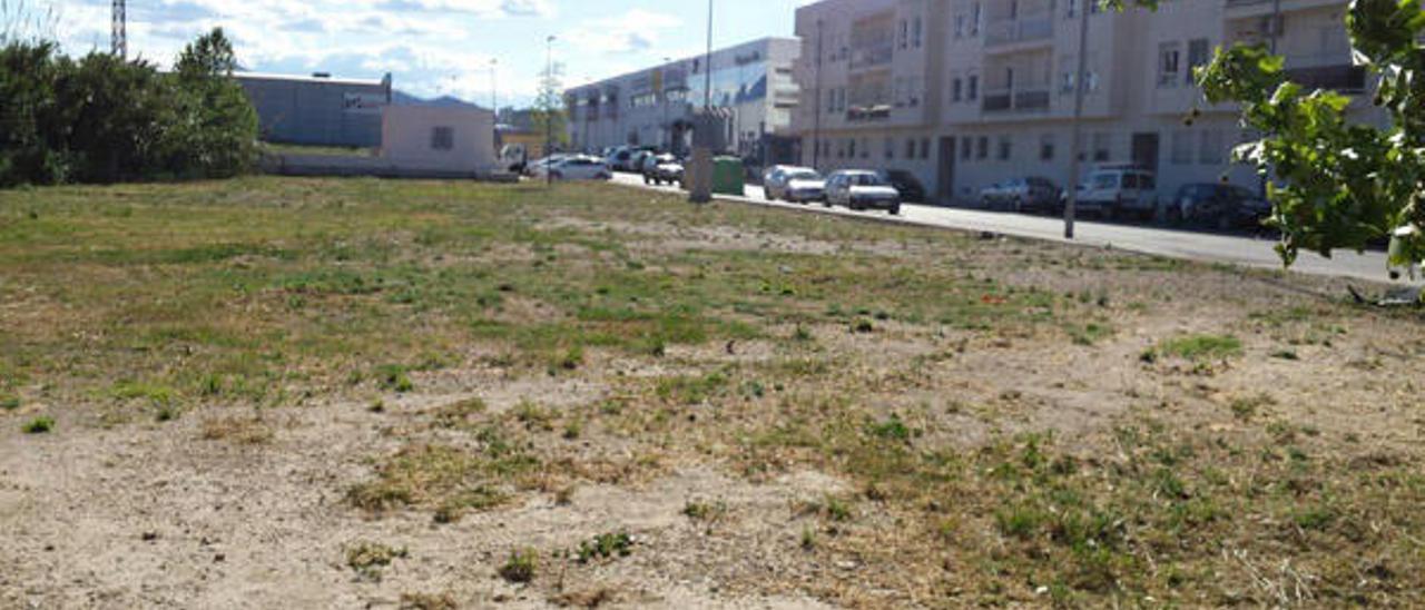 Palmera convierte una parcela de tierra de 3.000 m2 en un gran parque