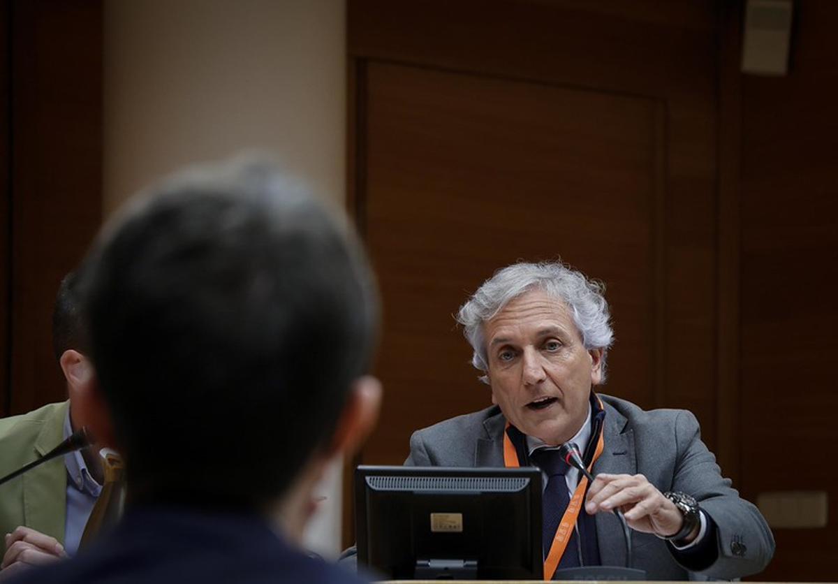 El comisionado del Consell para la Reconstrucción en su comparecencia en las Corts
