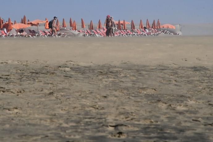 10/11/2019 MASPALOMAS. SAN BARTOLOME DE TIRAJANA. Ambiente en la playa de Maspalomas y Charca. Fotógrafa: YAIZA SOCORRO.  | 11/11/2019 | Fotógrafo: Yaiza Socorro