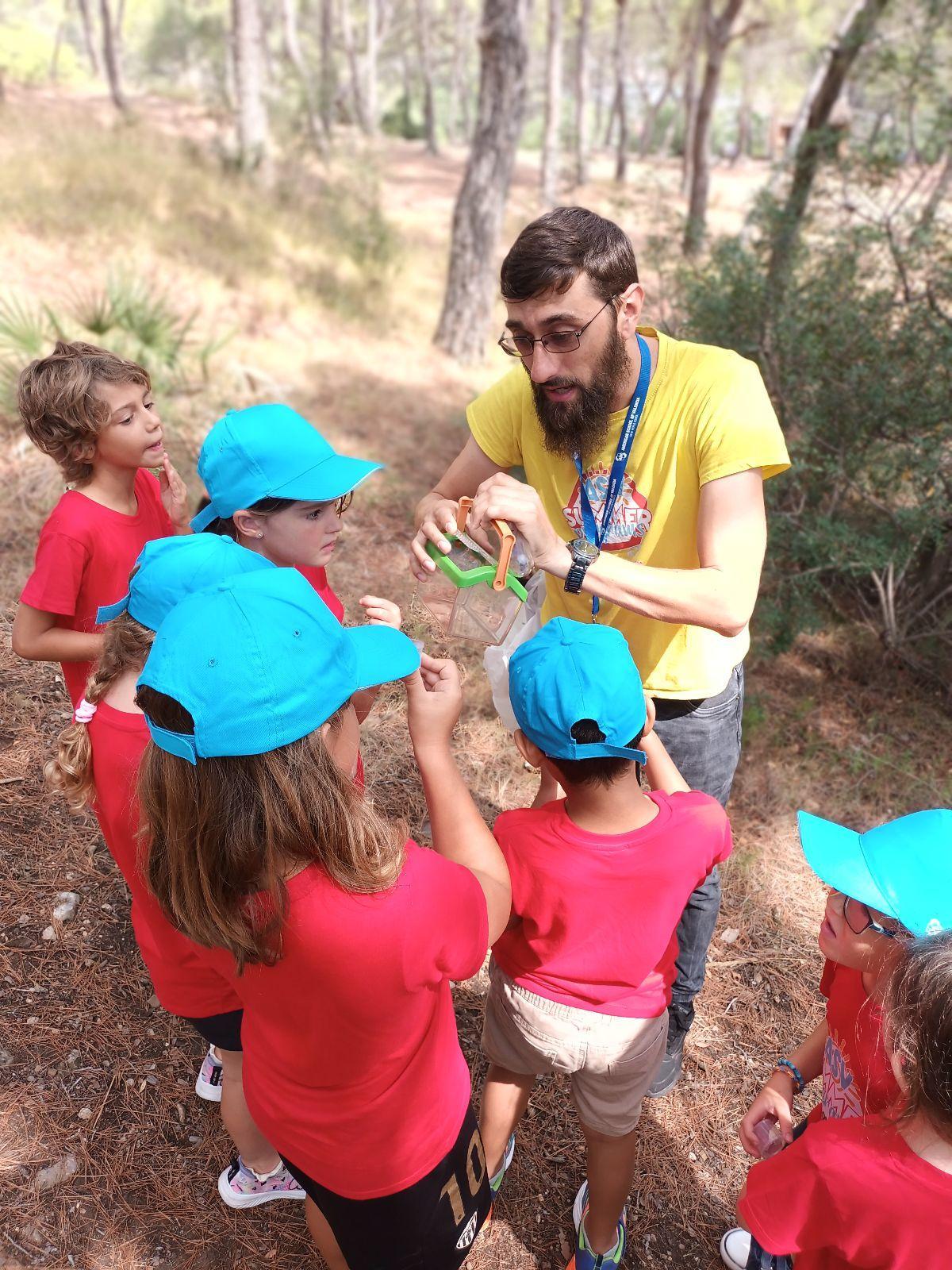 Los ASV Summer Programs 2026 se desarrollarán del 29 de junio al 24 de julio.