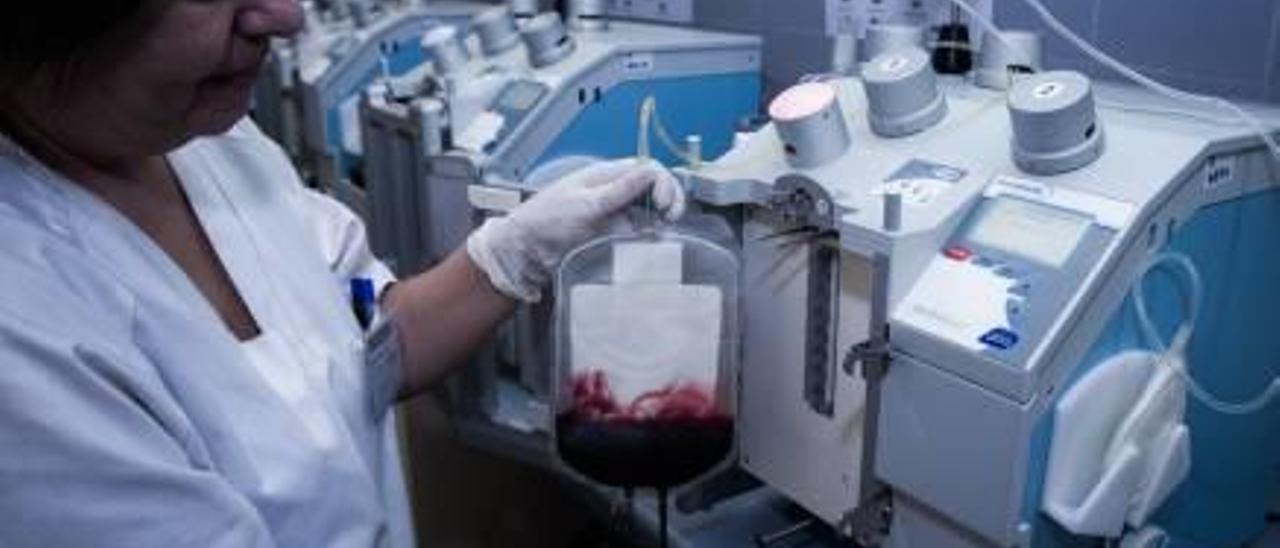 El Centro de Transfusión es el que gestiona todas las donaciones de médula.