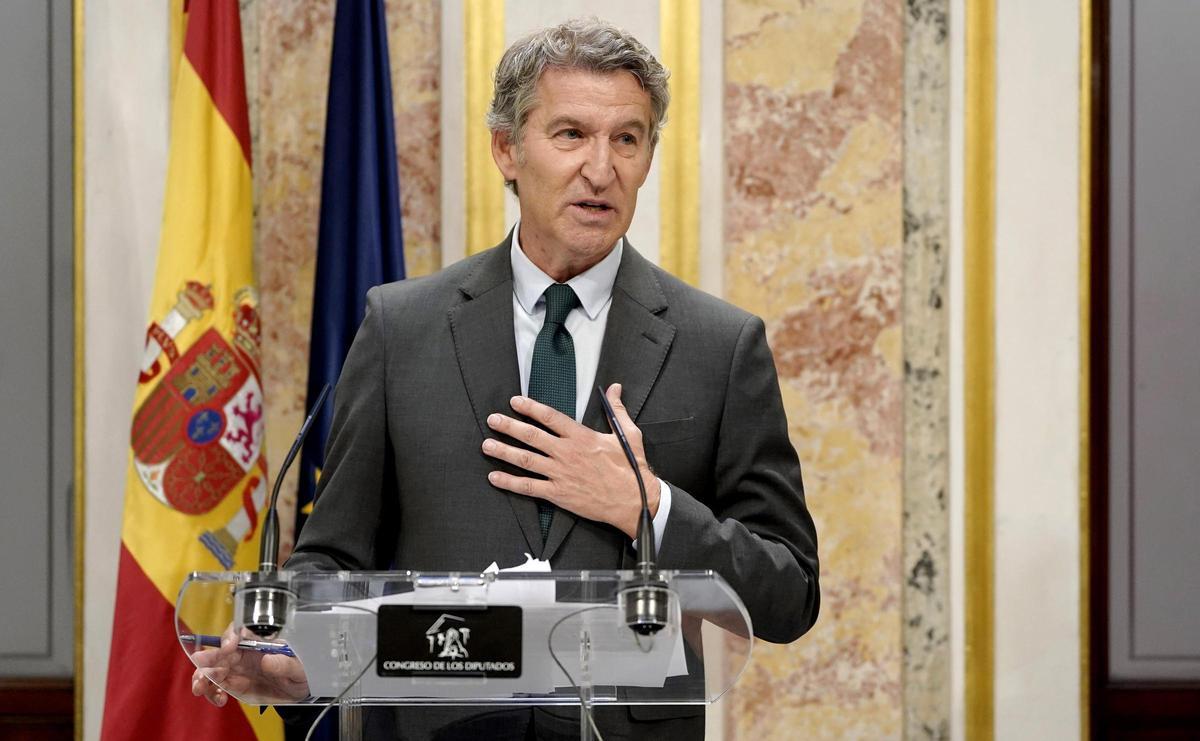 Alberto Núñez Feijóo, en el Congreso de los Diputados.