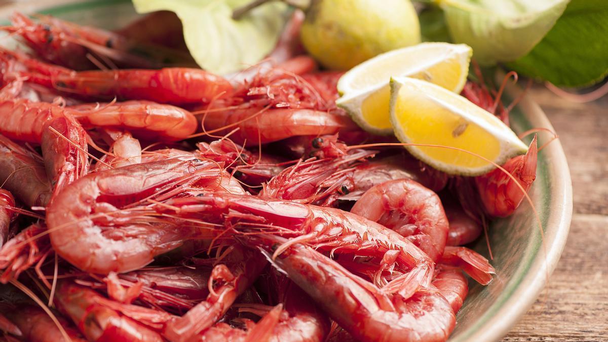 Gamba roja