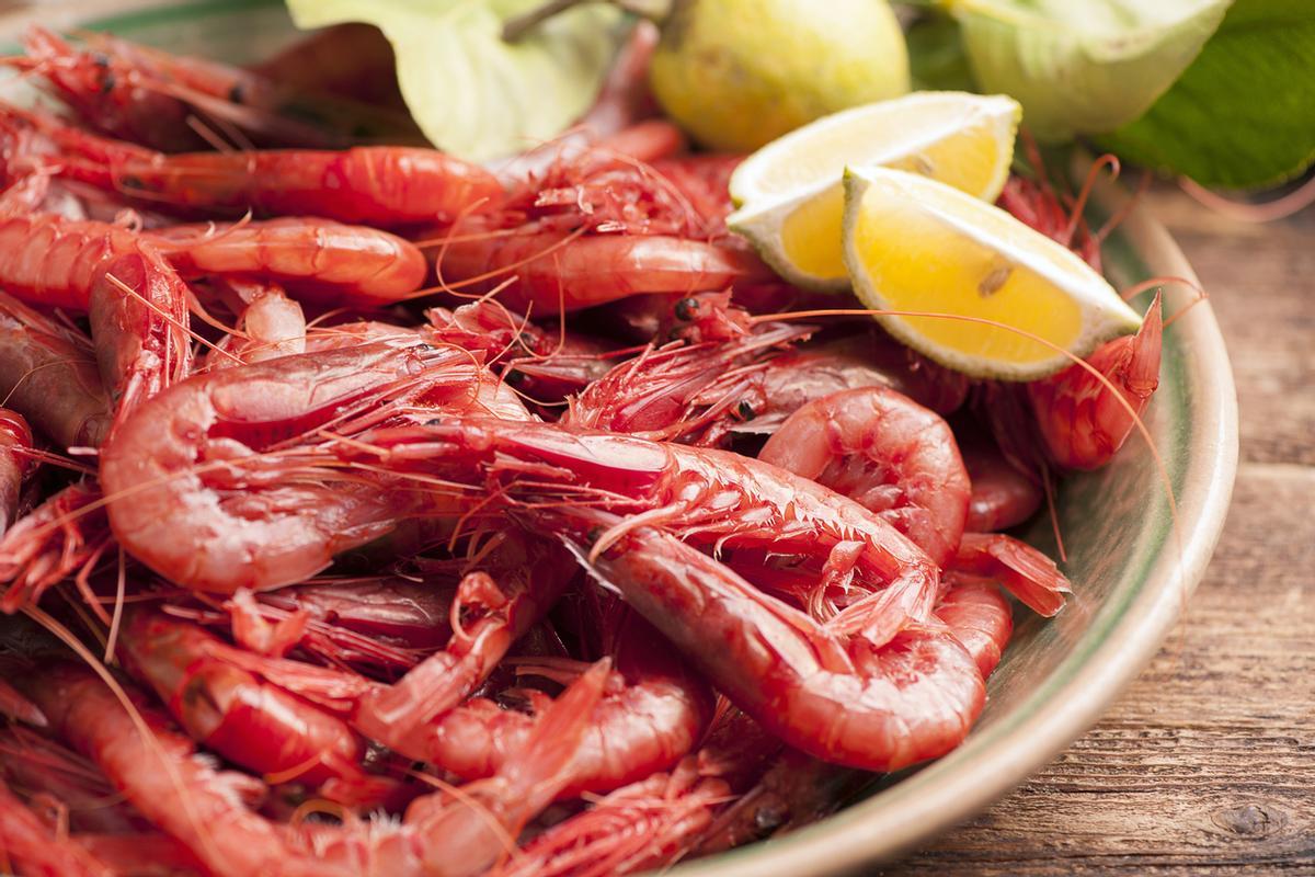 Gamba roja