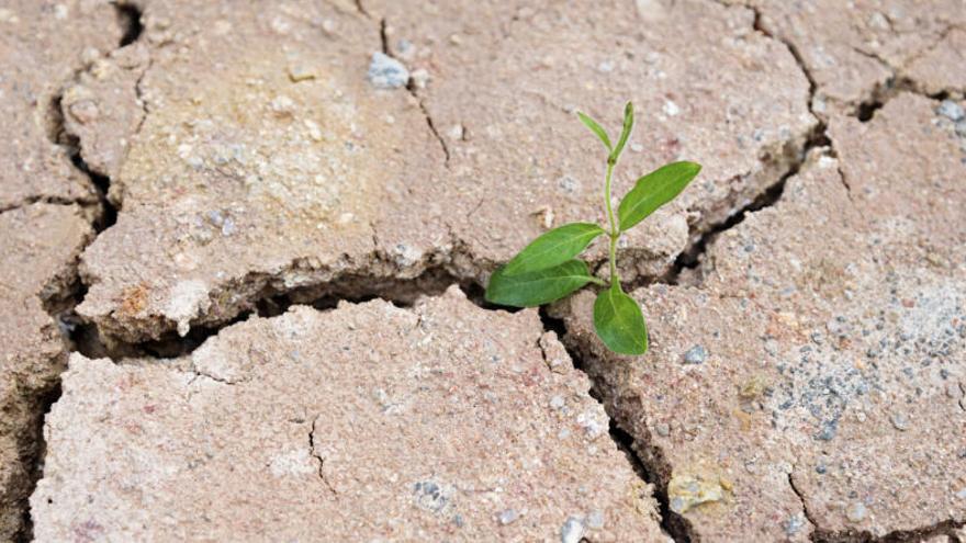 España afrontará sequías más intensas y duraderas.