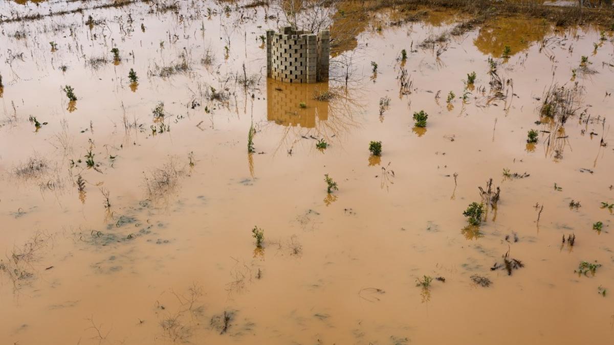 Campo de cultivos anegado por las aguas.