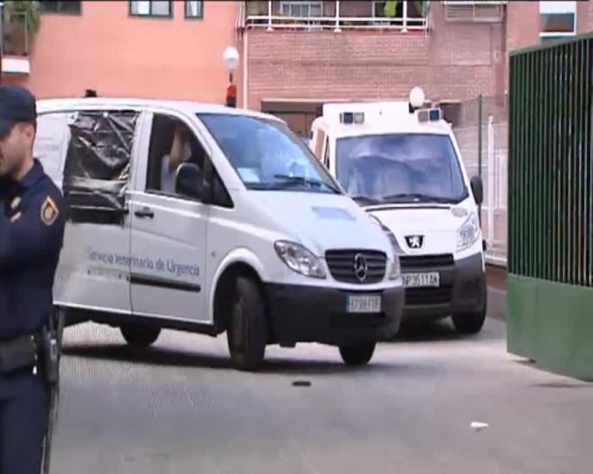 Excalibur fue sacrificado tras ser sedado
