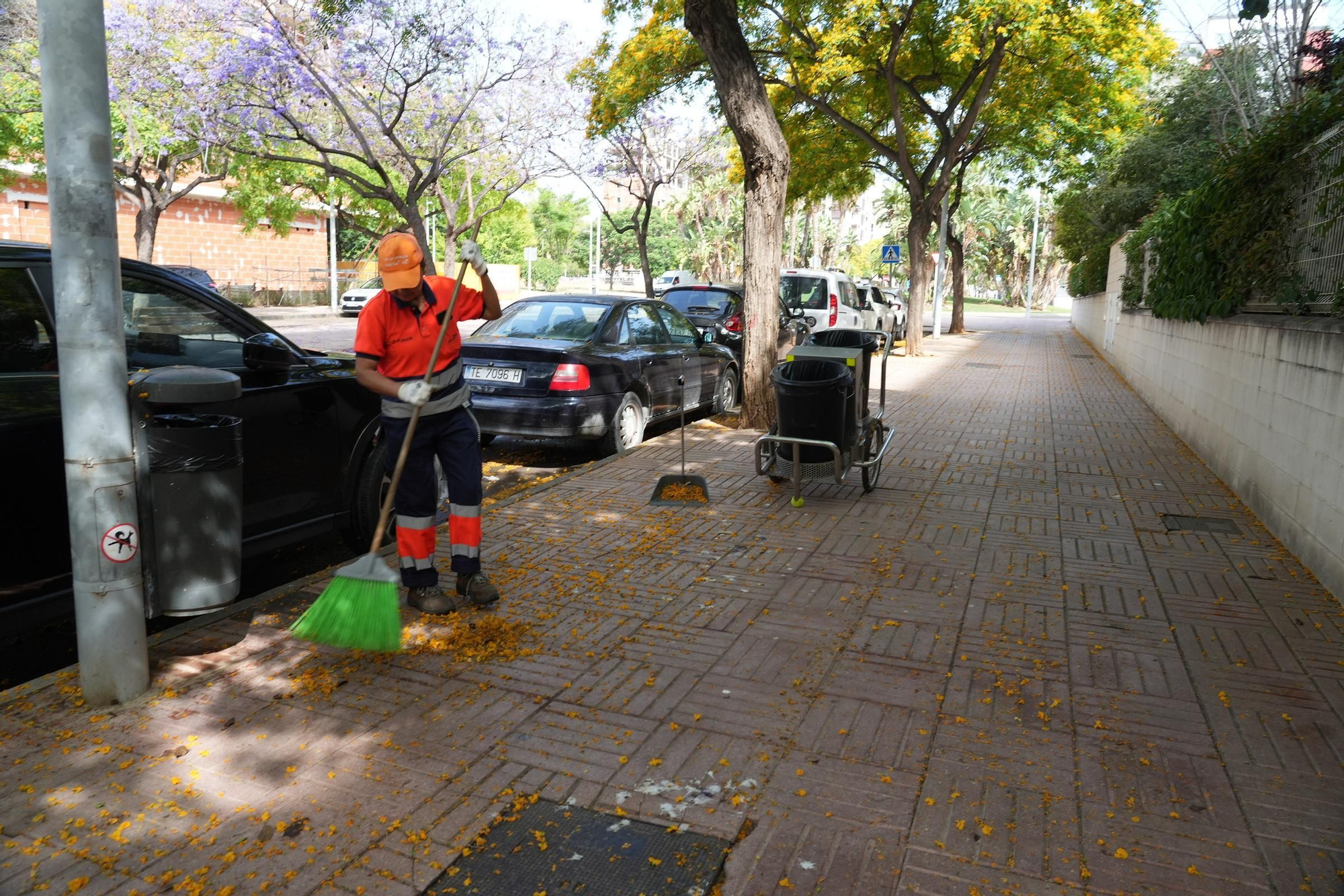 La floración tiñe las calles de Castelló