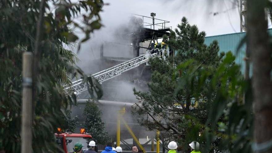 Tareas de extinción del fuego en la fábrica. // G.S.